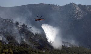 Φωτιά τώρα - Αναζωπύρωση στην Ηλεία: Μήνυμα του 112 για προληπτική εκκένωση του χωριού Κορυφή