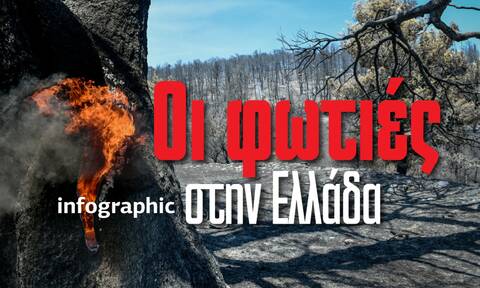 Τα δάση στην Ελλάδα απειλούνται με εξαφάνιση – Καταστροφική η επίδραση των πυρκαγιών στη χώρα