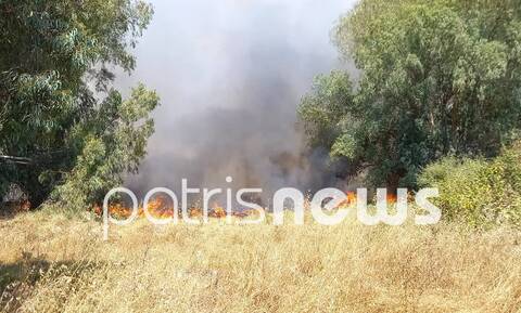 Φωτιά τώρα στην Ηλεία: Διπλά πύρινα μέτωπα σε Πύργο και Σπιάντζα