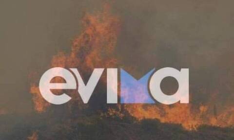 Φωτιά στη Βόρεια Εύβοια: Καίγεται δασική έκταση στα Γιάλτρα - Στη μάχη και εναέρια μέσα