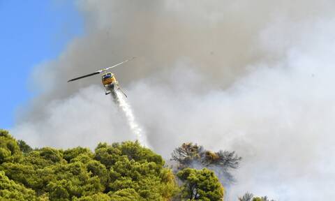 Μάχη με τις φλόγες σε όλη τη χώρα - Σε εξέλιξη φωτιές σε Ρέθυμνο, Χαλκιδική και Κορωπί