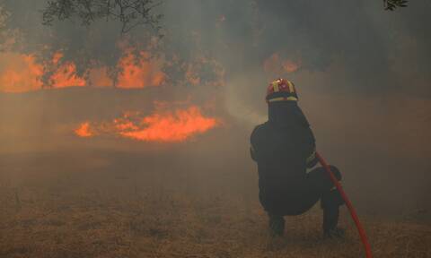 Μεγαλόπολη: Μαίνεται η φωτιά στο Ρούτσι - Διακοπή κυκλοφορίας στον κόμβο Λεύκτρου - Σπάρτης