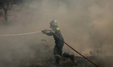 Φωτιά τώρα στα Μέγαρα: Μεγάλη κινητοποίηση της πυροσβεστικής - Πού έχει διακοπεί η κυκλοφορία