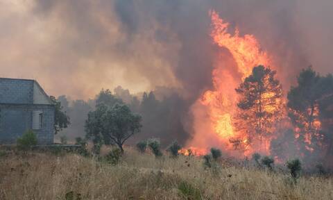 Φωτιά τώρα: Μάχη για να σωθεί το δάσος της Δαδιάς στον Έβρο - Σε κύματα ξεκίνησαν τα εναέρια μέσα