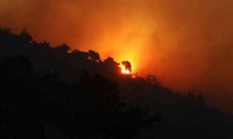 Φωτιά τώρα: Μάχη στο δάσος της Δαδιάς από εκατοντάδες πυροσβέστες – Υπό έλεγχο το μέτωπο στην Ηλεία
