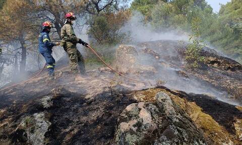 Οι «ήρωες του Έβρου» - Μάχη πυροσβεστών και στρατιωτικών για να σωθεί το δάσος της Δαδιάς