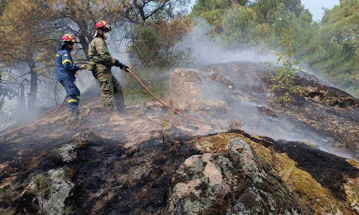 Φωτιά στο δάσος της Δαδιάς: Μάχη πυροσβεστών, Στρατού και υλοτόμων στο ενεργό μέτωπο