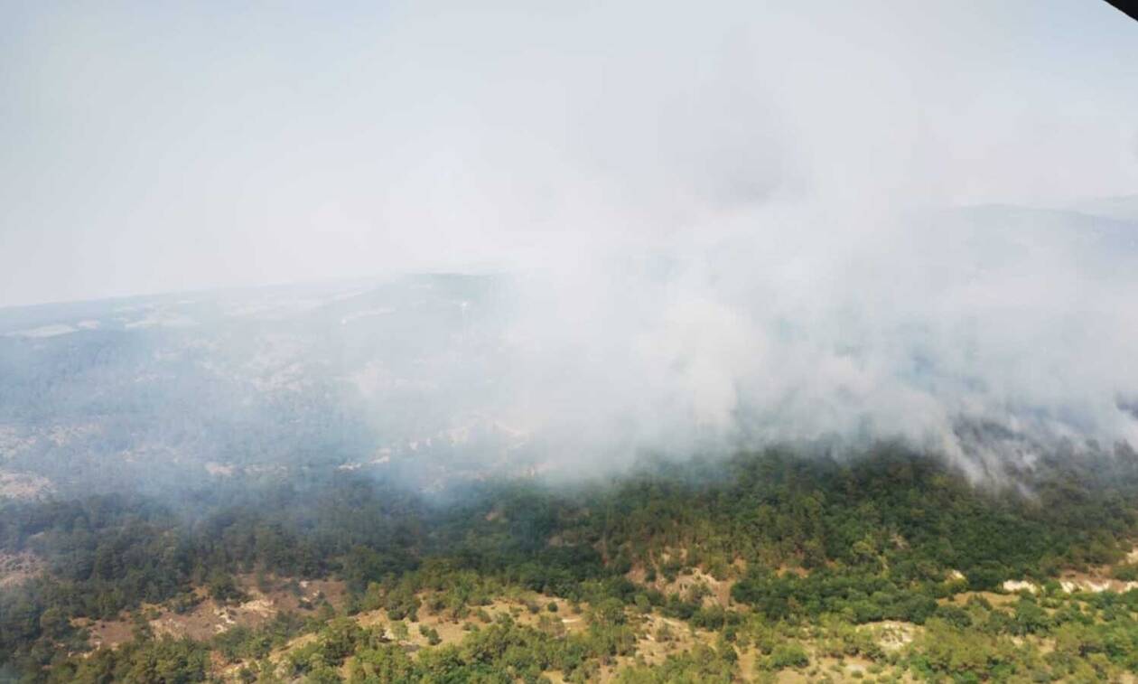 Φωτιά τώρα: Αντίξοες συνθήκες στο δάσος της Δαδιάς – Μάχη για να κρατηθεί η περίμετρος του μετώπου