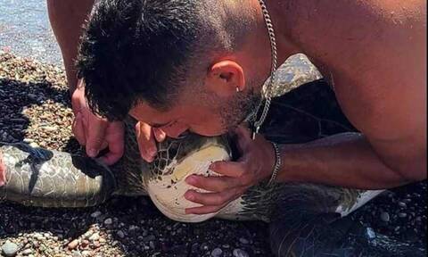 Διάσωση χελώνας στην παραλία Γενναδίου - Την γλίτωσαν από βέβαιο θάνατο