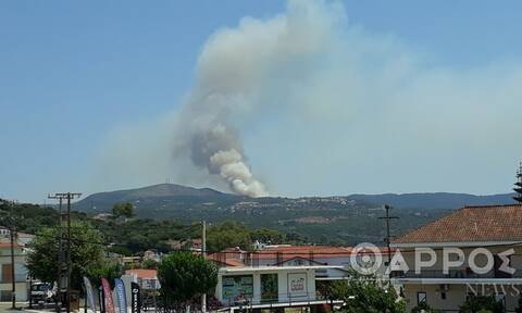 Φωτιά στη Μεσσηνία: Μήνυμα από το 112 στους κατοίκους για εκκένωση του οικισμού Χρυσοκελλαριά