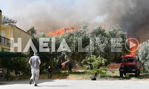 Φωτιά στην Ηλεία: Καίγονται σπίτια στα Κρέστενα - Εκκενώνονται χωριά, τρέχουν να σωθούν οι κάτοικοι