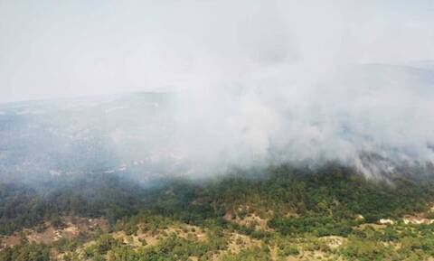Φωτιά Έβρος: Έσωσαν με αυτοθυσία το χωριό της Δαδιάς – Ανεξέλεγκτο το μέτωπο για τέταρτη μέρα