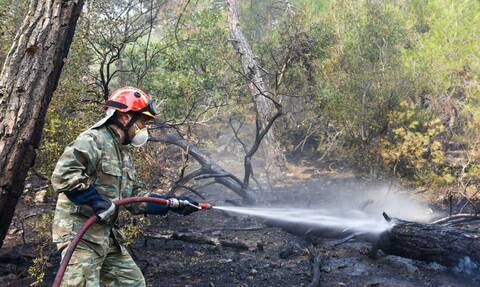 Φωτιά στον Έβρο: Εκτός ελέγχου η πυρκαγιά στη Δαδιά - Σύσκεψη υπό το κυβερνητικό κλιμάκιο