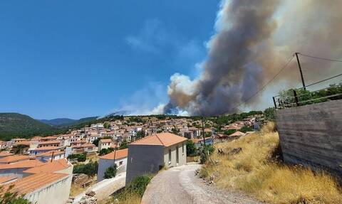 Φωτιά Μυτιλήνη: Άμεση αποζημίωση των πληγέντων από τη δασική πυρκαγιά στην περιοχή των Βατερών      