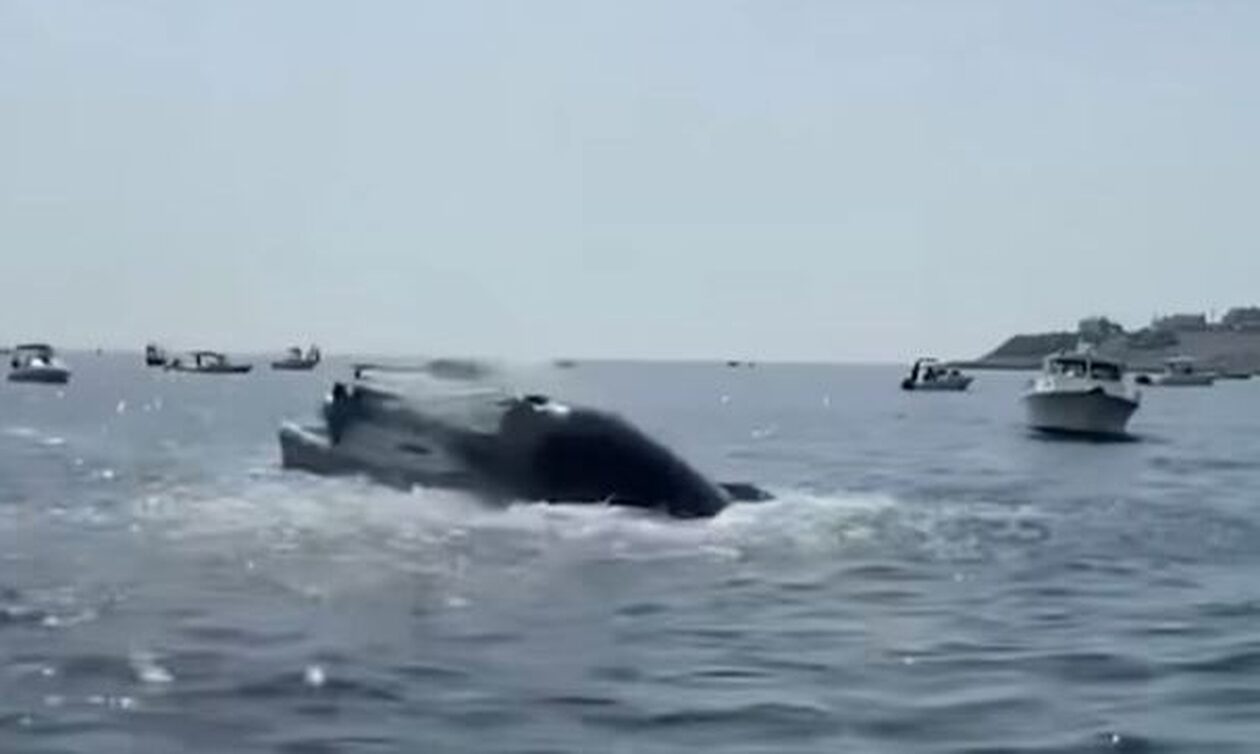 ΗΠΑ: Η στιγμή που φάλαινα πηδάει έξω από το νερό και πέφτει πάνω σε αλιευτικό σκάφος (vid)