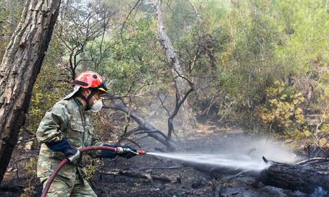 Φωτιά τώρα: Μαίνεται η πυρκαγιά στον Έβρο - Χωρίς ενεργά μέτωπα σε Μάνδρα, Χαϊδάρι και Μυτιλήνη