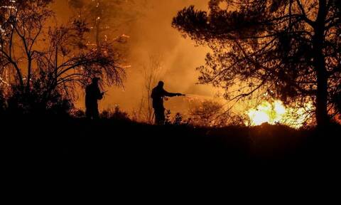 Φωτιά τώρα στο Λασίθι: Πυρκαγιά στην περιοχή Βραχάσι