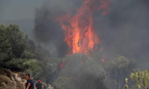 Φωτιές: Καλύτερη η εικόνα στον Έβρο – Σε ύφεση το μέτωπο στη Μυτιλήνη