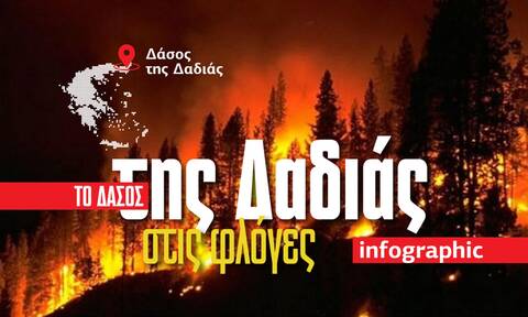 Δάσος της Δαδιάς: Η «ανάσα» της Ελλάδας και της ΝΑ Ευρώπης στις φλόγες - Τεράστια η καταστροφή