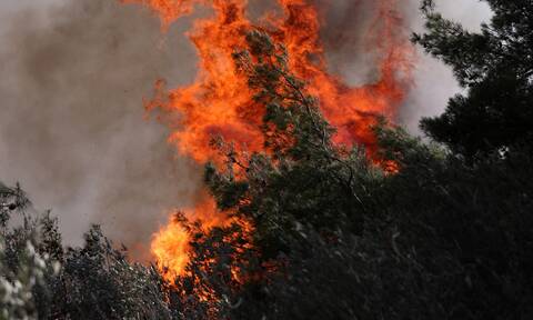 Τα πύρινα μέτωπα στην Ελλάδα: Φωτιές σε Μεσσηνία, Πύργο Ηλείας, Γύθειο και Ασπρόπυργο
