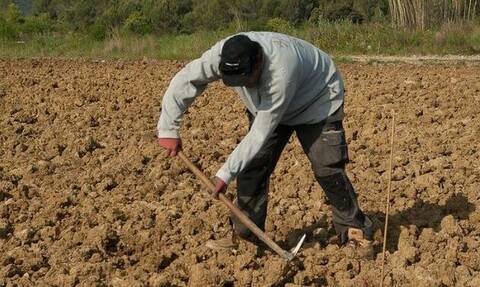 Νέοι Αγρότες - ΟΠΕΚΕΠΕ: Ξεκινούν οι πληρωμές σε τρεις περιφέρειες