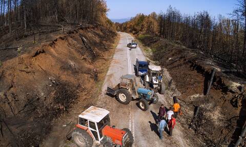 Έργα αποκατάστασης των πυρόπληκτων δασικών περιοχών της Ελλάδας