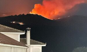 Φωτιά τώρα στην Κεφαλονιά: Πυρκαγιά σε δασική έκταση κοντά στα Αννινάτα