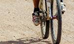 Βόλος: Έφηβος ποδηλάτης συγκρούστηκε με… νυχτερίδα!