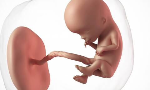 Εγκυμοσύνη: Ανακαλύφθηκε μηχανισμός έγκαιρης διάγνωσης γενετικών ανωμαλιών μέσω τεχνητής νοημοσύνης