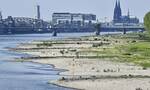Γερμανία: Η στάθμη του Ρήνου έπεσε πάλι λόγω ξηρασίας- «Πονοκέφαλος» για τη βιομηχανία