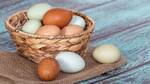 Ξέρεις τα πάντα για τα αβγά; Στοίχημα ότι αυτά τα 7 πράγματα δεν τα γνωρίζεις!