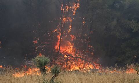 Πυρκαγιές: Πολύ υψηλός κίνδυνος και την Τρίτη – Οι περιοχές που είναι σε πορτοκαλί συναγερμό