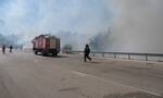 Φωτιά τώρα: Μεγάλη πυρκαγιά στο Λογγίτσι Φθιώτιδας - Στη μάχη και 5 αεροσκάφη