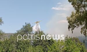Φωτιά τώρα: Τριπλό πύρινο μέτωπο στην Ηλεία – Ισχυροί άνεμοι στην περιοχή