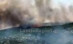 Φωτιά: Μάχη με τους ισχυρούς ανέμους στο Δομοκό - Σε δύο μέτωπα οι φλόγες