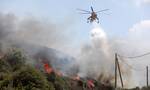 Πύρινα μέτωπα σε Κορυδαλλό, Φθιώτιδα και Μεσσηνία - Συναγερμός στην Πυροσβεστική