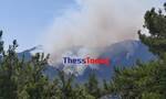 Φωτιά στη Θάσο: Μαίνεται ανεξέλεγκτη η πυρκαγιά - Ο Στρατός στη μάχη με τις φλόγες