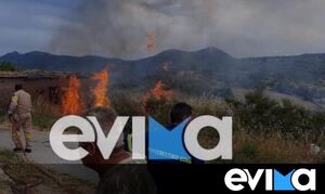 Εύβοια: Φωτιά τώρα στο Βασιλικό κοντά σε σπίτια