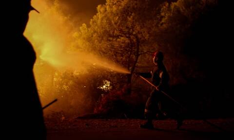 Φωτιά στη Θάσο: Μάχη με τις φλόγες μετά την αναζωπύρωση – Κάηκε δάσος με έλατα