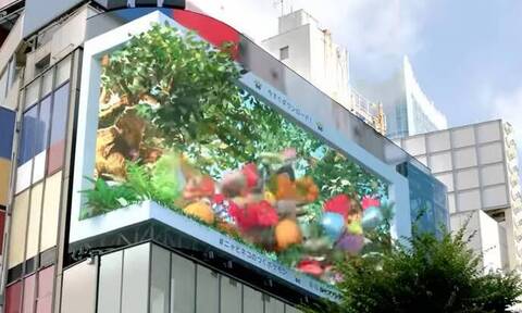 Σε 3D διαφημιστική πινακίδα στο Τόκιο τα αιλουροειδή της Pokemon
