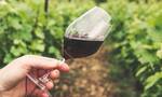Τρία ελληνικά κρασιά μέσα στα ποιοτικότερα του κόσμου για το 2022