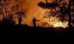 Φωτιά στη Λακωνία: Υπό μερικό έλεγχο η πυρκαγιά στα Λάγια Ανατολικής Μάνης