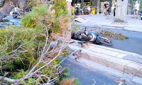 Κρήτη: Νεκρός οδηγός μηχανής που καταπλακώθηκε από δέντρο ενώ περίμενε στο φανάρι