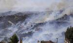 arogi.gov.gr: Ενεργοποιήθηκε η πλατφόρμα για τους πληγέντες από την φωτιά στην Πεντέλη