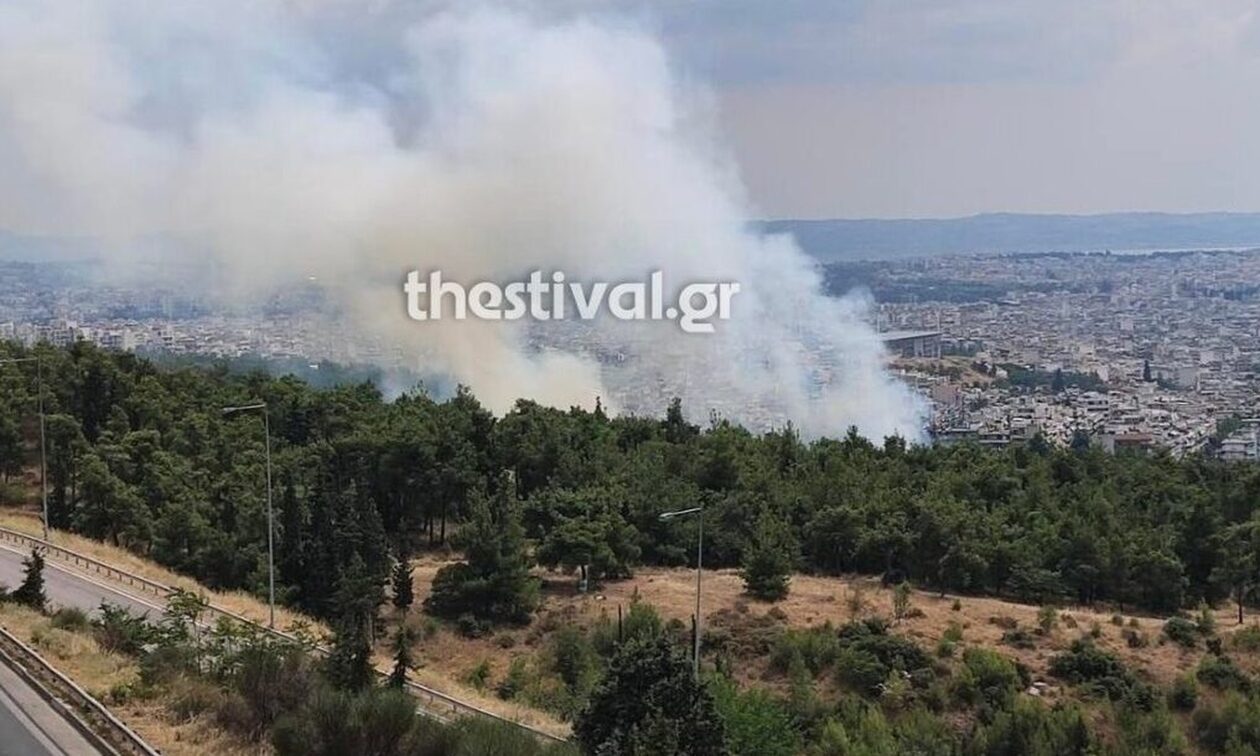 Φωτιά στο δάσος του Σέιχ Σου στη Θεσσαλονίκη