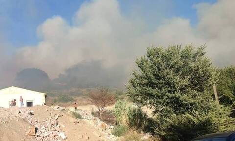 Κέρκυρα: Εντολή εκκένωσης του οικισμού Βασιλικά από την πυροσβεστική