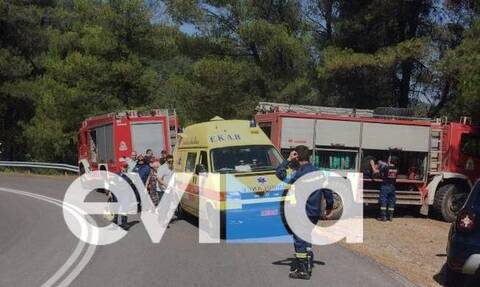Εύβοια: Φορτηγό όχημα έπεσε σε γκρεμό - Σοβαρά τραυματισμένος ένας άνδρας