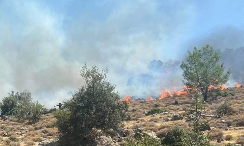 Φωτιά στη Μυτιλήνη - Άμεση κινητοποίηση της Πυροσβεστικής