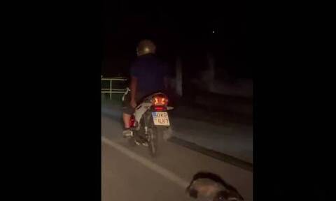 Καβάλα: Άνδρας σέρνει με το μηχανάκι του έναν ασβό (vid)