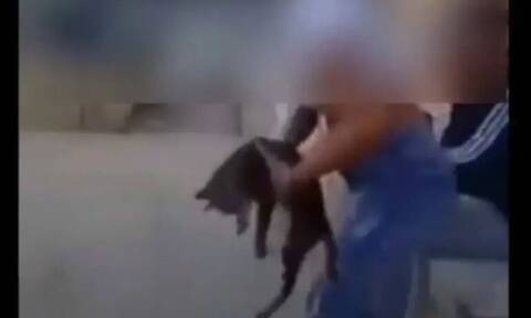 Κρήτη: Μαθήτρια κακοποίησε γατάκι για την πλάκα της
